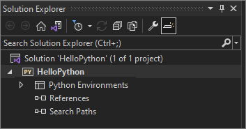 Screenshot showing the Solution Explorer with the newly created empty project.