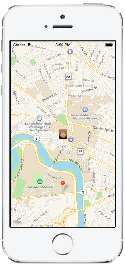 Esta captura de tela mostra um mapa com um pin e uma imagem personalizada