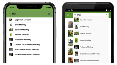 Captura de tela de resultados de pesquisa de modelo em um Shell SearchHandler, no iOS e Android