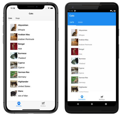 Captura de tela de um aplicativo de duas páginas do Shell com guias superior e inferior, no aplicativo de duas páginas iOS e Android