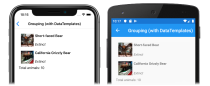 Captura de tela de um rodapé de grupo personalizado em um CollectionView, em iOS e Android
