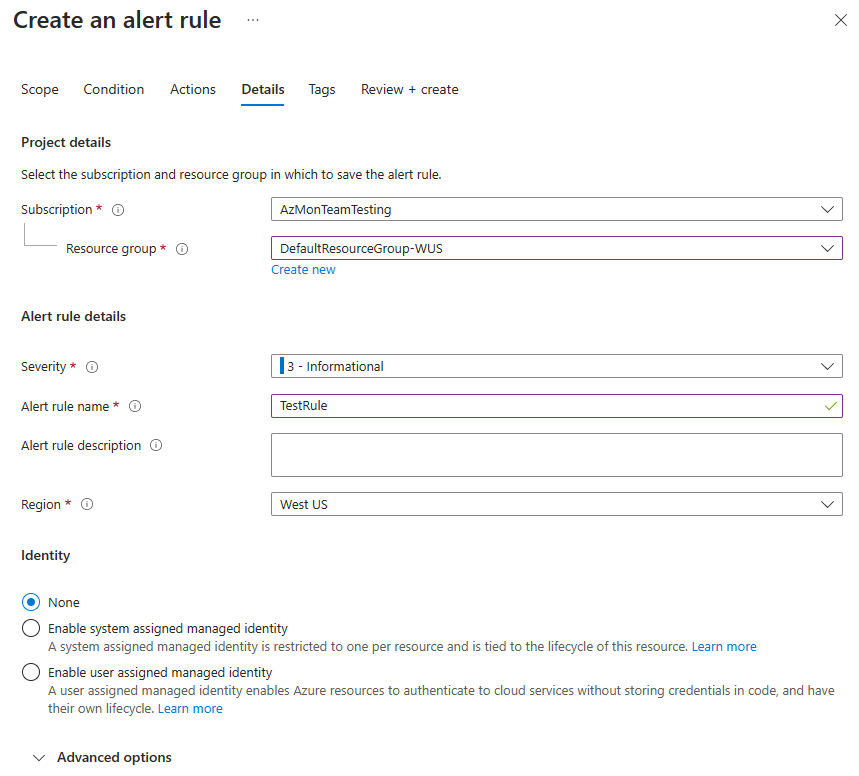 Captura de tela que mostra a guia Detalhes ao criar uma nova regra de alerta de pesquisa de log.