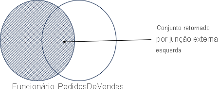 A Venn diagram showing the outer join results of the Employee and SalesOrder sets