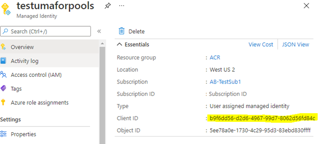 На снимке экрана показан идентификатор клиента управляемого удостоверения, назначенного пользователем, в портале Microsoft Azure.