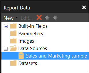Screenshot of the Report Data pane with the dataset listed under Data Sources.