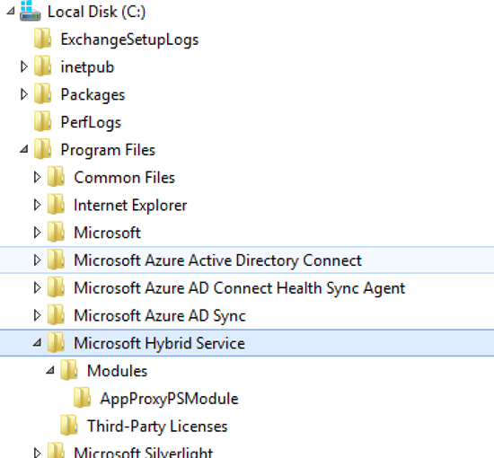 Расположение гибридной службы Microsoft на жестком диске.
