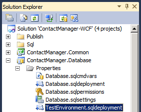 Обратите внимание, что новый файл добавлен в папку Properties в проекте базы данных.