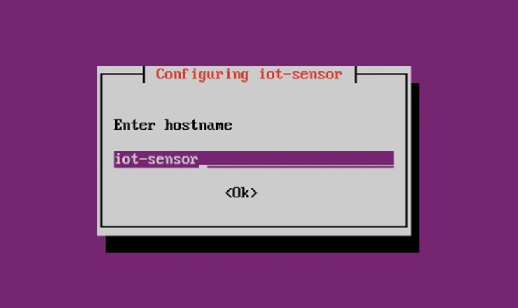 Screenshot of the screen where you enter a hostname for your sensor.