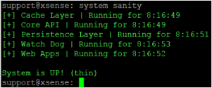 Screenshot that shows the system sanity command.