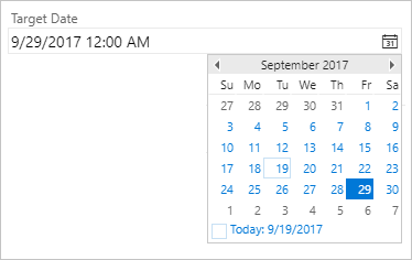 Date-Time control, Calendar field