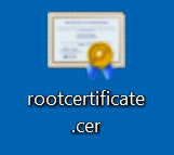 На снимке экрана показан значок сертификата и имя файла с расширением CER.