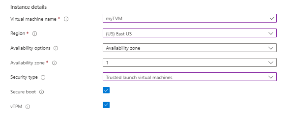 Screenshot showing the options for Trusted Launch.