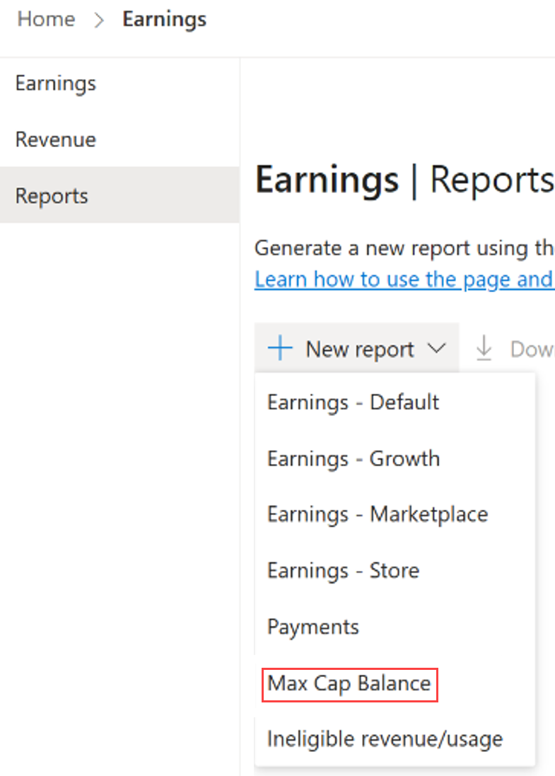 Снимок экрана: страница отчета о доходах с новым отчетом: выбран максимальный баланс.