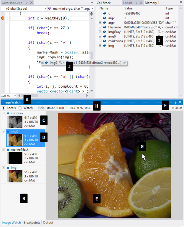 Screenshot of Image Watch while debugging.