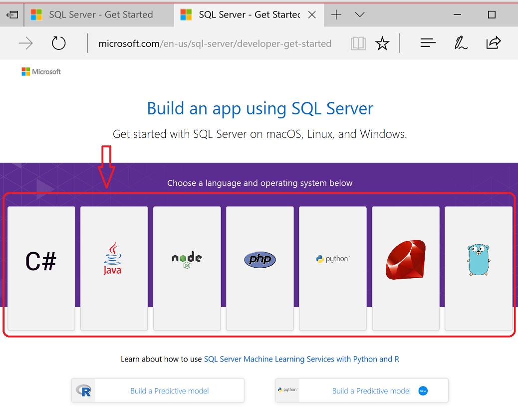 SQL Dev website, get started