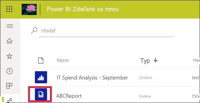 Screenshot showing the report list with one standard report and one paginated report.