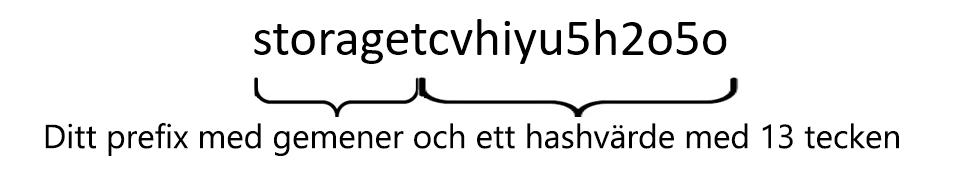 Picture of a string created by concatenating the word Storage with a 13-character hash, and then converting all letters to lowercase.