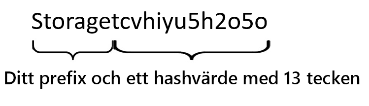 Picture of a string created by concatenating the word Storage with a 13-character hash that contains both uppercase and lowercase letters.