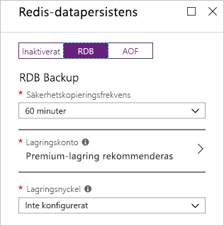 Skärmbild av Azure Portal med alternativen för RDB-persistens på en ny Redis Cache-instans.