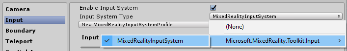 Input System settings 1