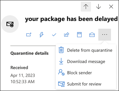 The details of a quarantined message with available actions being highlighted
