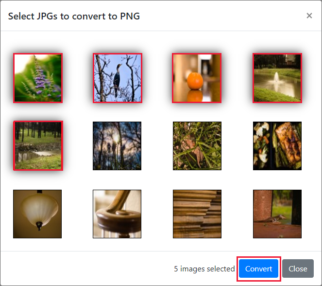 Convert first five images