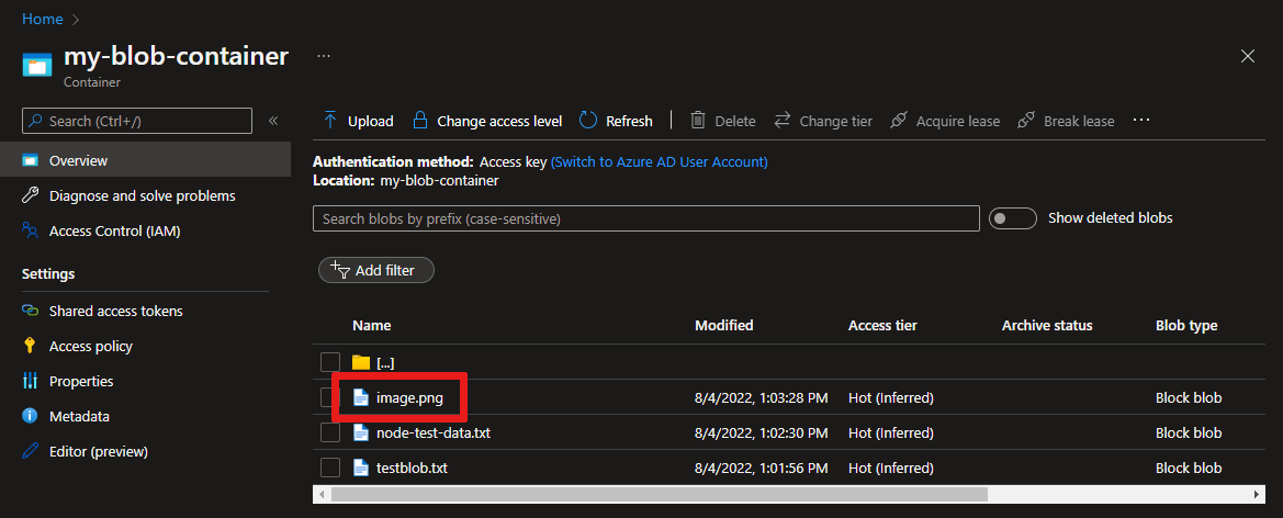 Screenshot of viewing the uploaded file in the Azure portal.