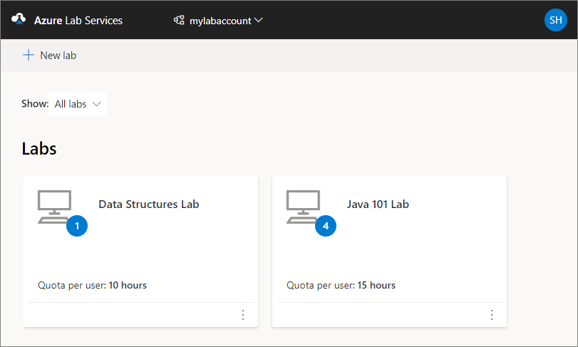 Azure Lab Services web sitesindeki laboratuvarların listesini gösteren ekran görüntüsü.