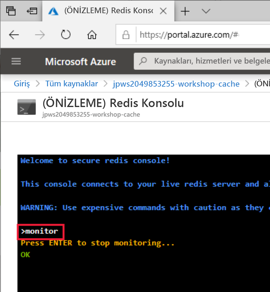 Screenshot of the Console window with the Redis monitor active.