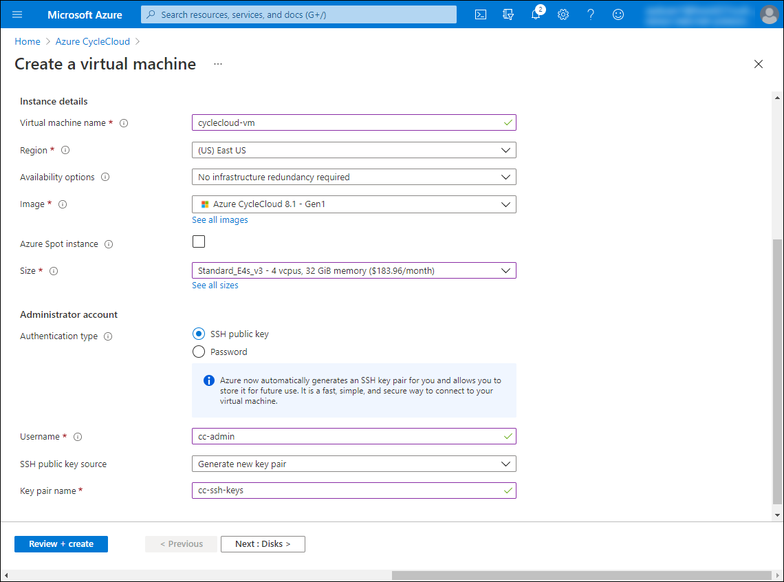 The screenshot depicts the lower section of the Basics tab of the Create a virtual machine blade in the Azure portal.
