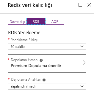Yeni bir Redis önbelleği örneğinde RDB kalıcılık seçeneklerini gösteren bir web tarayıcısının ekran görüntüsü.
