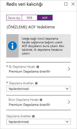 Yeni bir Redis önbelleği örneğinde AOF kalıcılık seçeneklerini gösteren bir web tarayıcısının ekran görüntüsü.