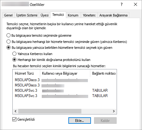 Screenshot of Power B I Reports showing Delegation tab of Properties window.