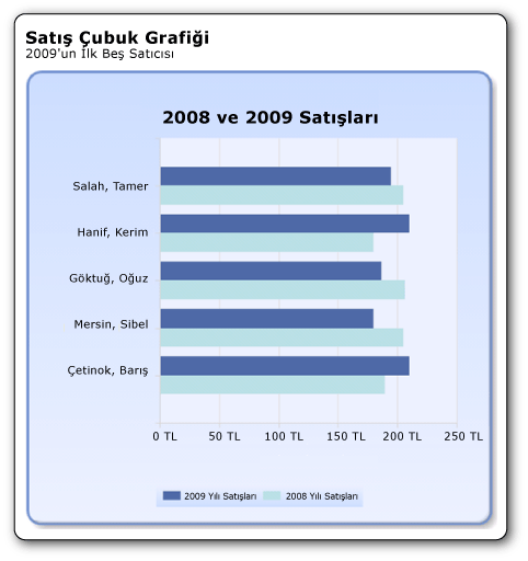 2008 ve 2009 satışlarını gösteren çubuk grafik