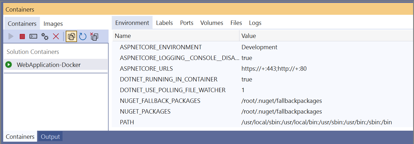Screenshot of the Containers window in Visual Studio with a container selected in the left pane, and the Environment tab selected in the right pane.