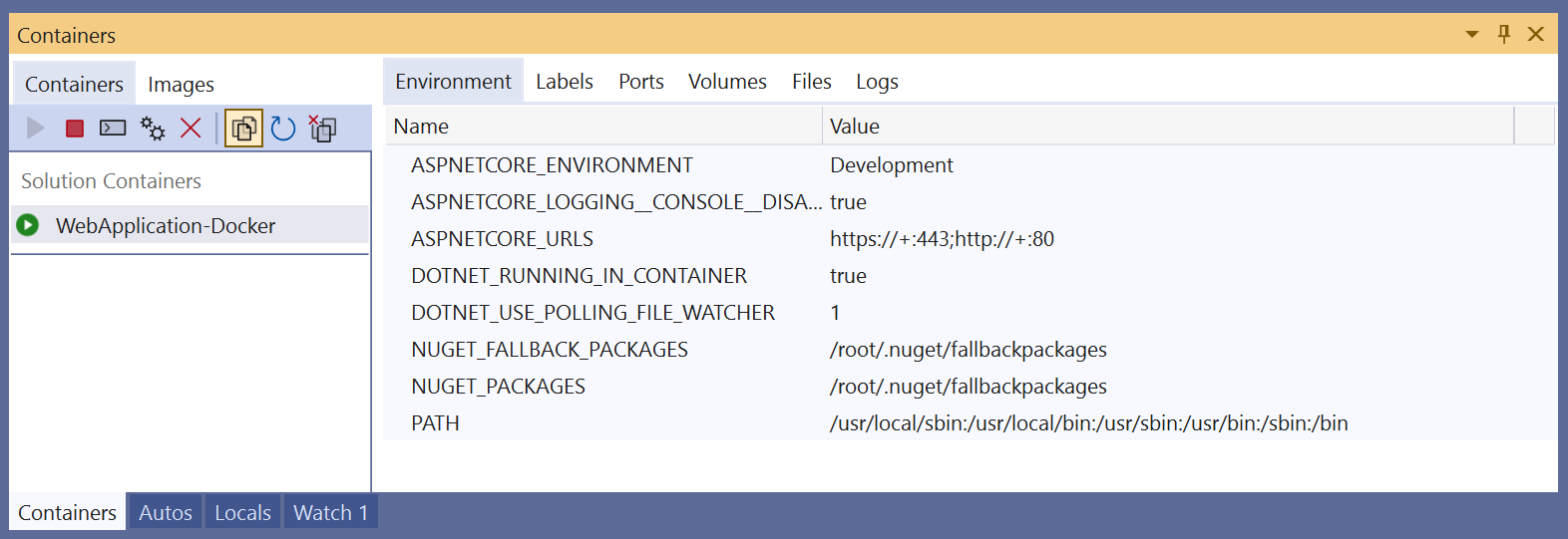 Screenshot of the Containers window in Visual Studio showing the Environment variables for a container.