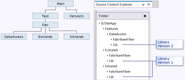 Library folder within a branch structure
