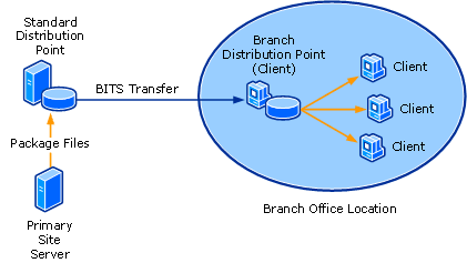 Branch Distribution Point Diagram