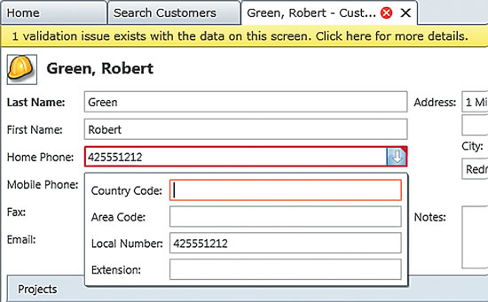The Built-In Phone Number Data Type Provides Validation and Formatting