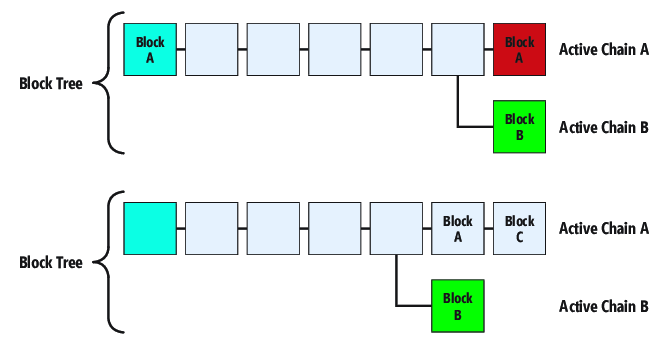 （前）块树显示块树分叉和两个相等长度供应链 （底端）;显示一个块树分支和一个最长的链块树