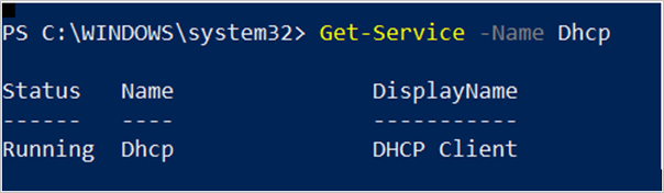 设置 DHCP 启动类型