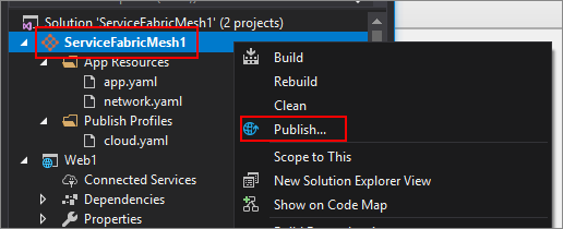 Visual Studio - 右键单击 Service Fabric 网格项目
