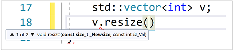 Screenshot of parameter info showing the parameters for the function resize on vector v. The parameter info is: const size_t _Newsize, const int & _Val.