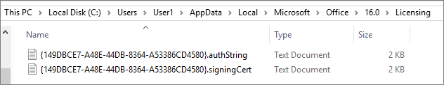 “许可”文件夹的屏幕截图，其中显示了共享计算机激活的许可令牌文件。