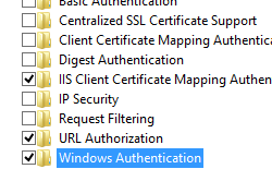 Screenshot of the Programs and Features navigation tree. The Windows Authentication option is selected and highlighted.