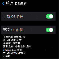 显示 iOS/iPadOS Apple 设备上的自动更新设置的屏幕截图。