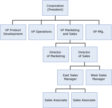 示例组织结构图