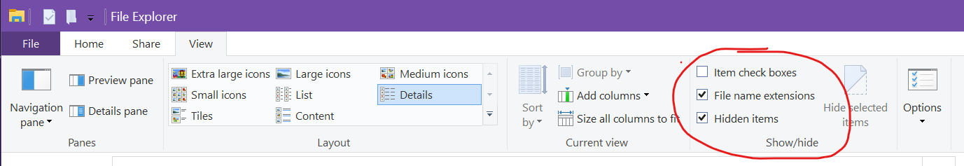 Windows 10 文件资源管理器窗口的视图选项的图像。 选中“文件扩展名”和“隐藏的项目”框，表明它们设置为 true