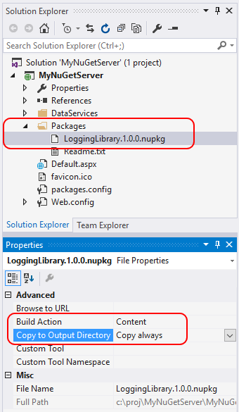 Copy the package to the project package folder