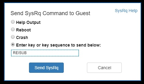 选中输入键选项并将 REISUB 输入到以下字段中时，“将 SysRq 命令发送到来宾”对话框的屏幕截图。